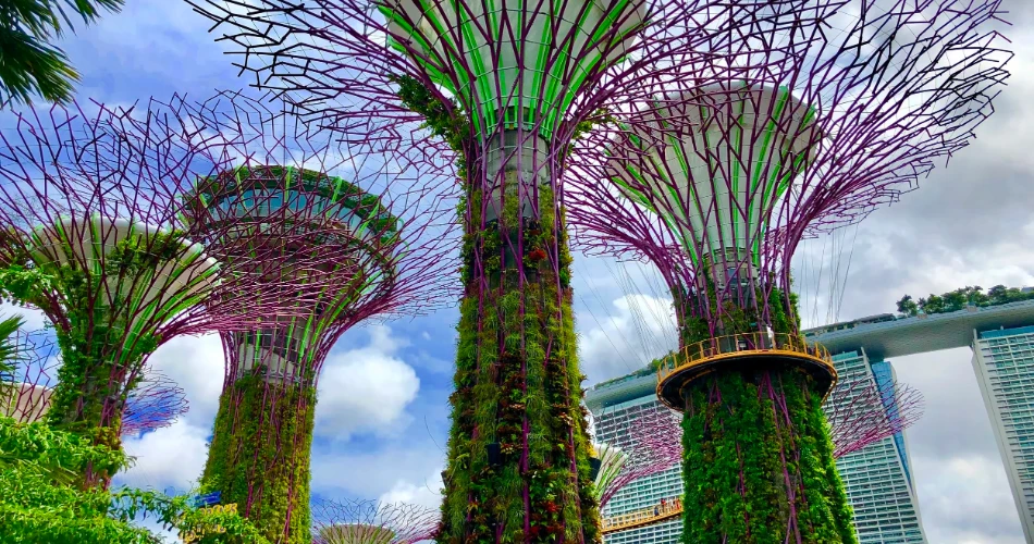 Is Singapore Expensive? How to Visit on a Budget Without Missing Out
