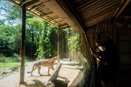 Tour image 14