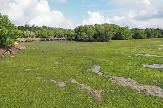 Tour image 8