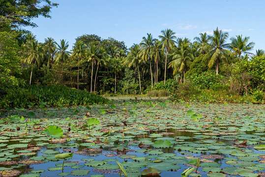 Tour image 2